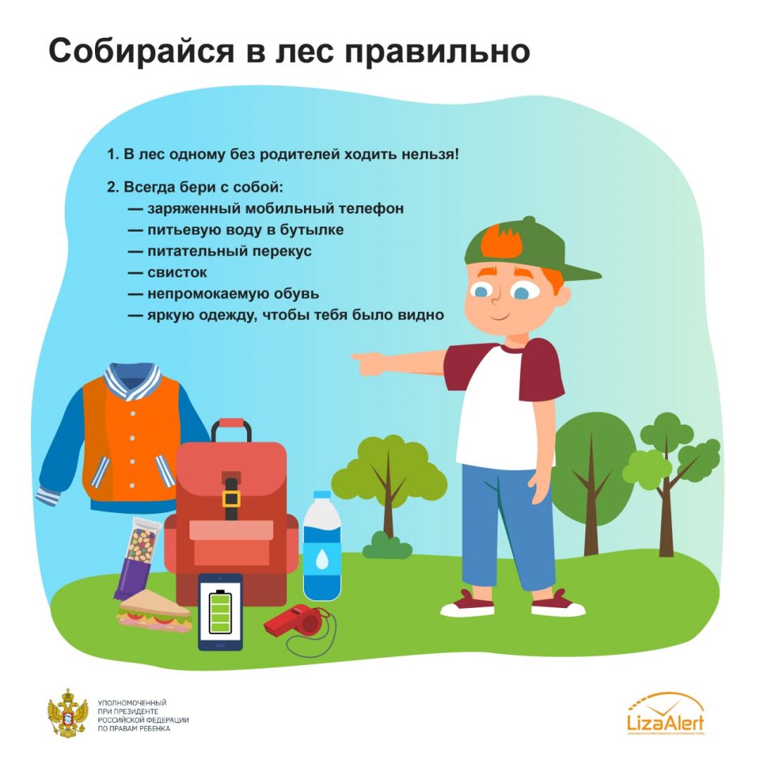 Собираемся в лес правильно.